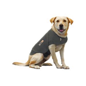 Thundershirt hond