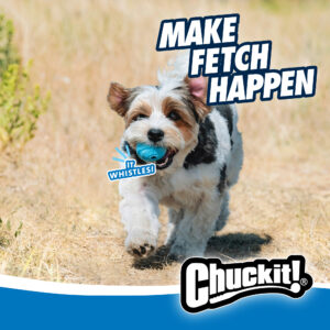 Chuckit! The Whistler M (2-pack) - Afbeelding 5