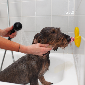 Alternative view of AFP Calm Paws - Bath Anti-anxiety Duck
