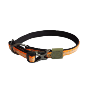 Alternative view of AFP Off Street - Dog Collar Mandarijn S