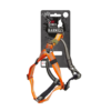 AFP Off Street - Dog Non-Pull Harness Mandarijn L