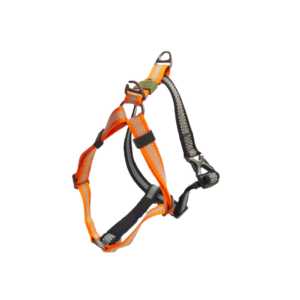 Alternative view of AFP Off Street - Dog Non-Pull Harness Mandarijn XL