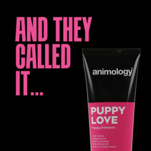 Alternative view of Animology Puppy Love Puppy Shampoo 250 ml