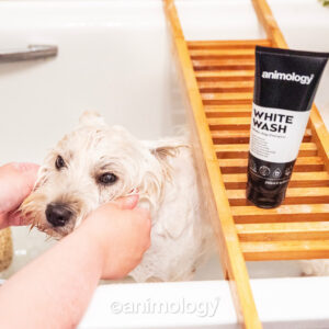 Alternative view of Animology White Wash Dog Shampoo 250 ml
