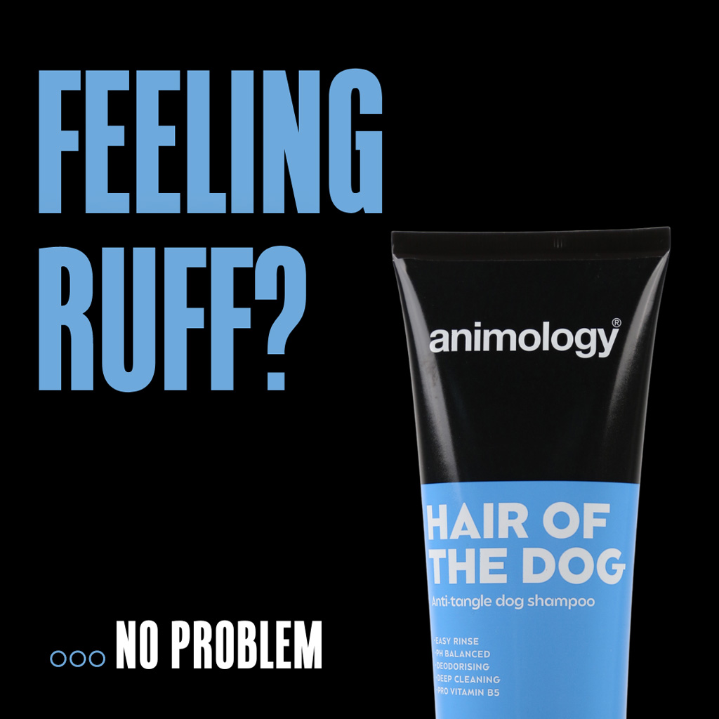 Animology Hair Of The Dog Anti-Tangle Dog Shampoo 250 ml - Afbeelding 2