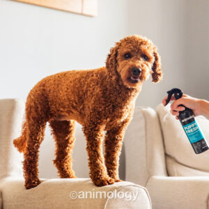 Alternative view of Animology Puppy Fresh Deodorising Puppy Spray 250 ml