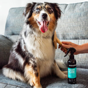 Alternative view of Animology Knot Sure De-Tangle Dog Spray 250 ml